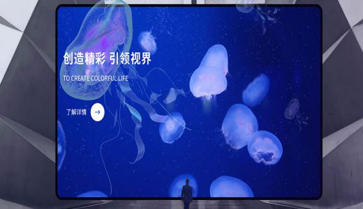 天马微电子